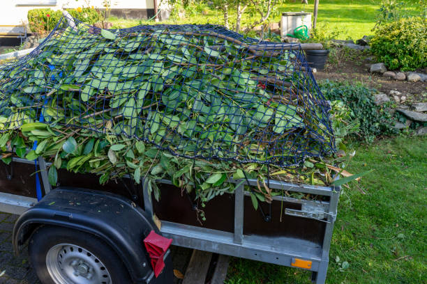 Best Yard Waste Removal  in Clewiston, FL